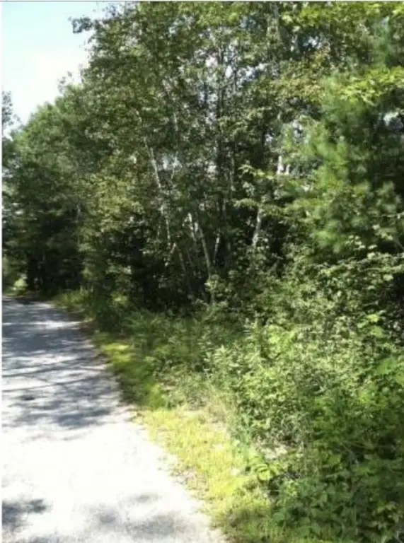Picture 4