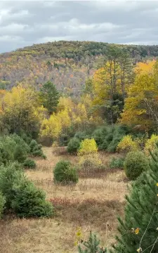 Picture of Residential land & home lots at Catterall Road lot 4, Lisbon, NH
