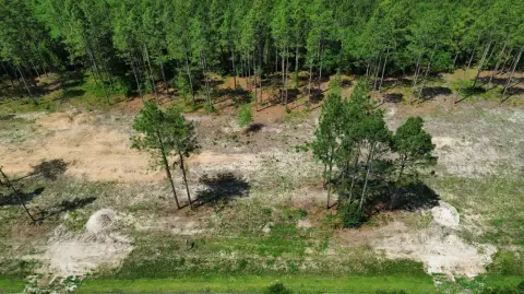 Picture of Residential land & home lots at 0 Wilbur Pridgen Rd., Harrells, NC