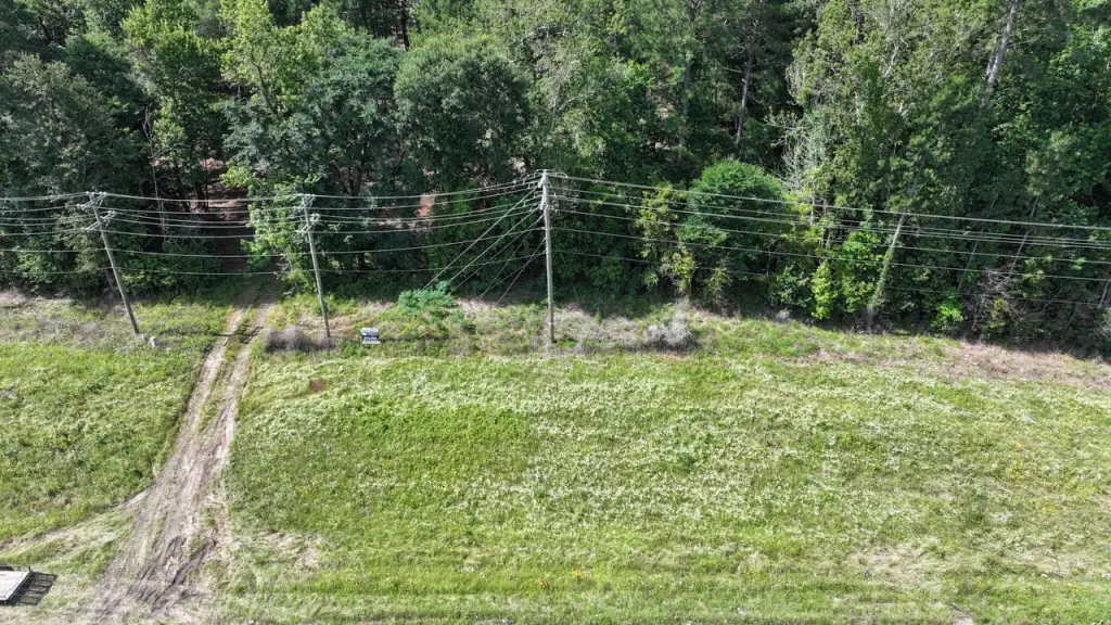 Picture 4