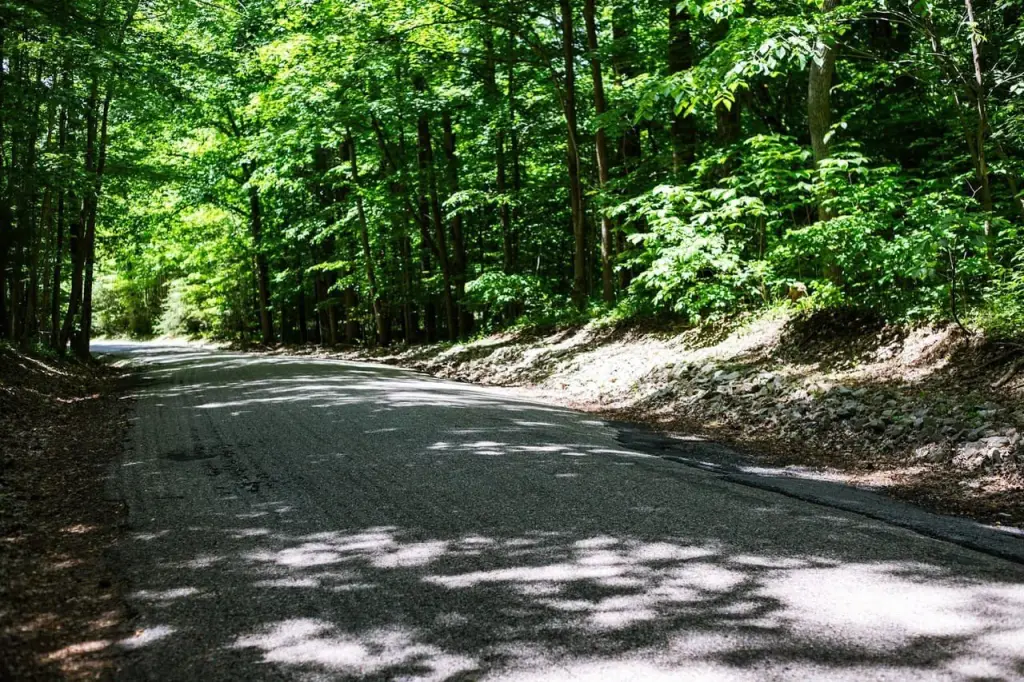 Picture 9
