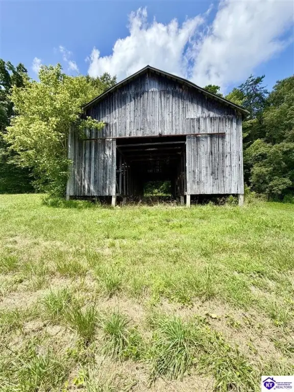 Picture 15