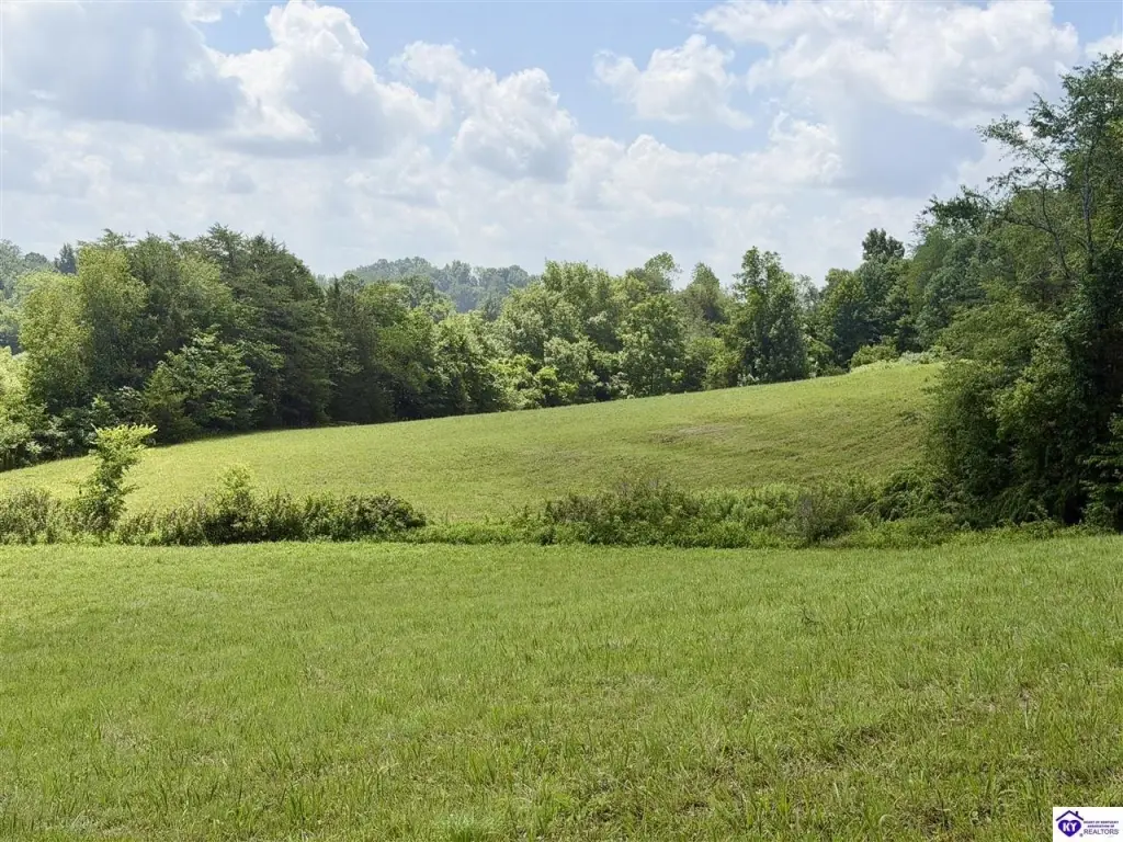 Picture 12