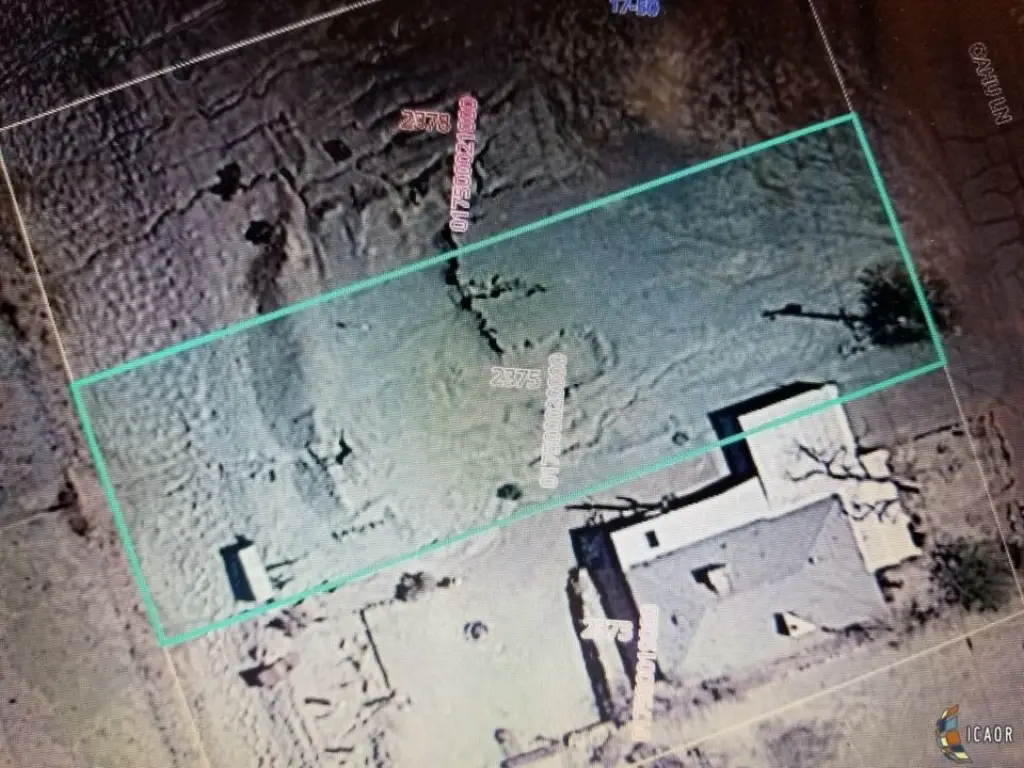 Picture 6