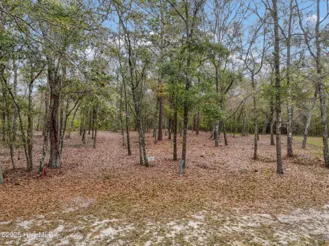 Picture of Residential land & home lots at 584 Asphodel Drive SW, Supply, NC