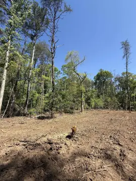 Picture of Residential land & home lots at 0 Thompson Road, Greer, SC