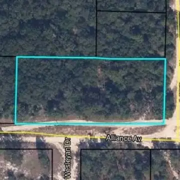 Picture of Residential land & home lots at 6286 Alliance Avenue, Keystone Heights, FL
