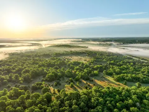 Picture of Hunting land at SH-51, Oilton, OK