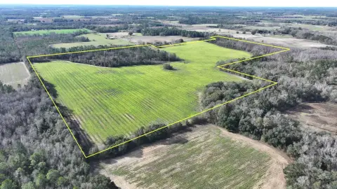 Expansive Cottondale Land Opportunity
