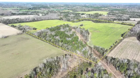 60 Acres of Versatile Land