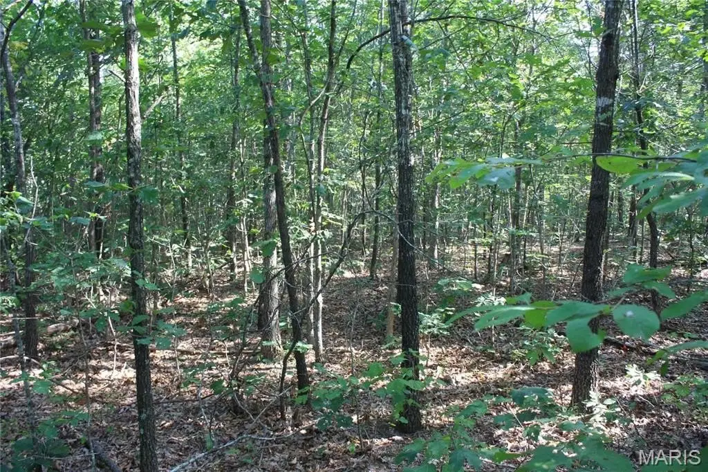 Picture 4