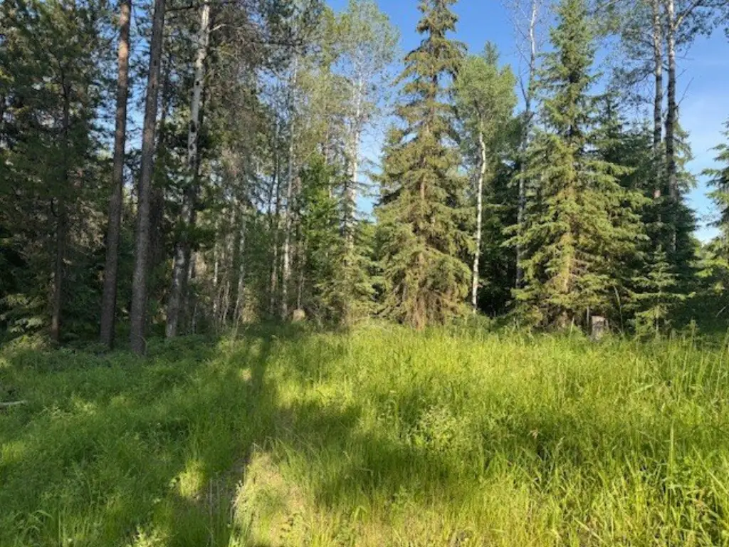 Picture 7