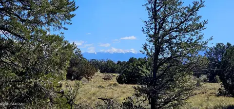 Wooded Recreation Land