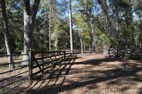 Greenville Land with Fencing