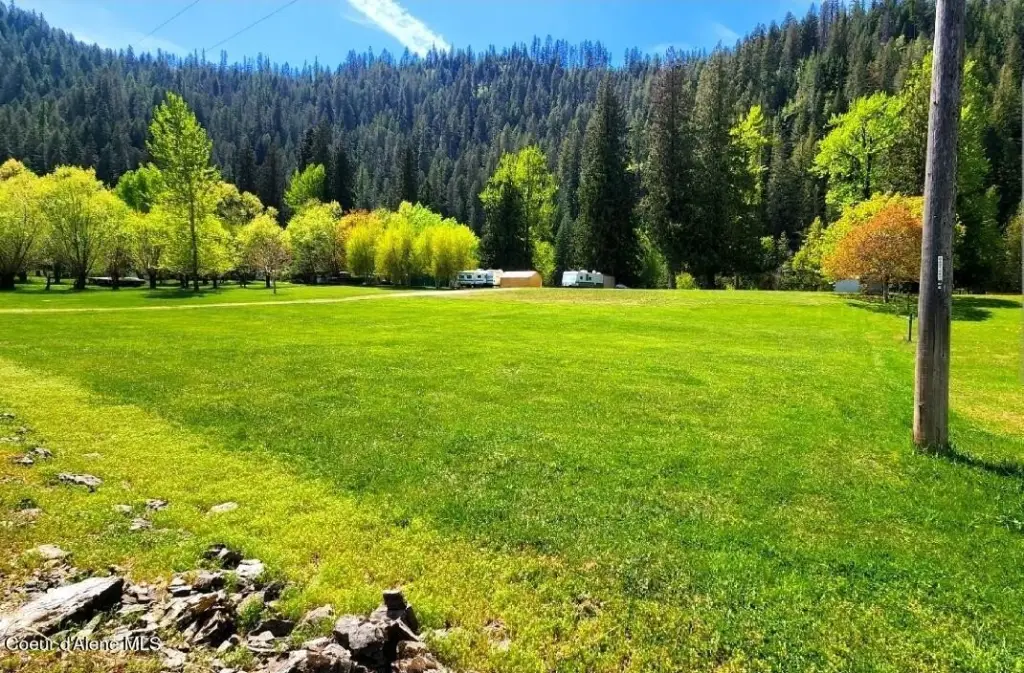 Picture 11
