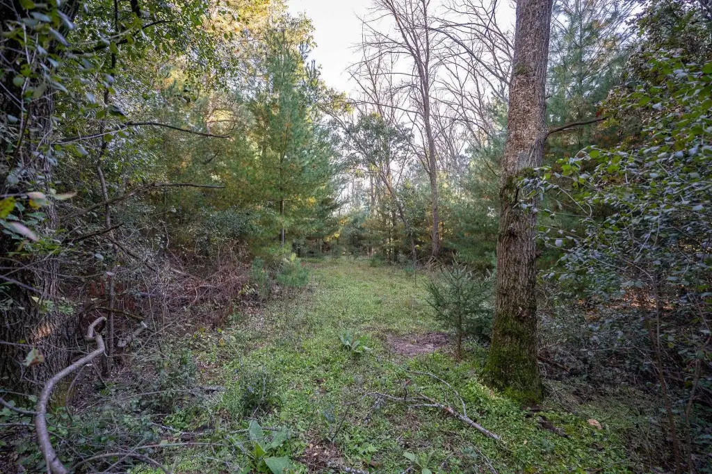 Picture 18