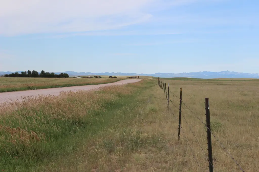 Picture 14