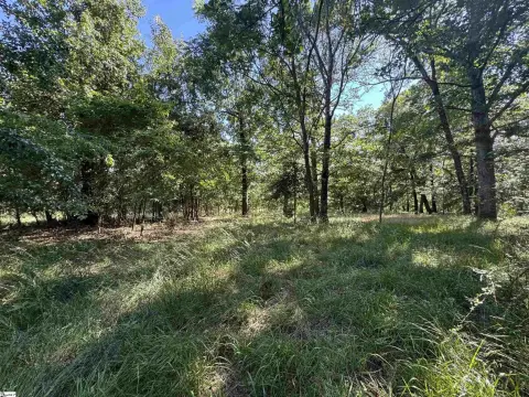 Liberty, SC Commercial Site