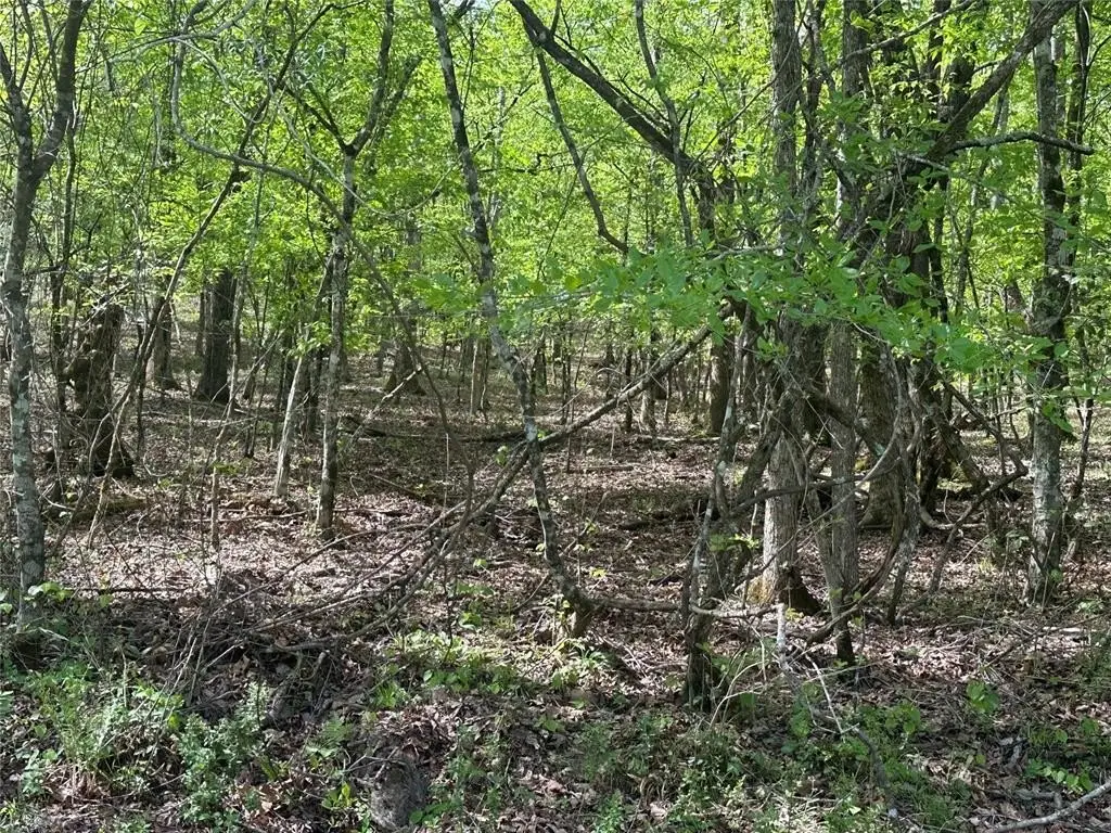 Picture 16
