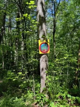 Residential Land in Marble, NC