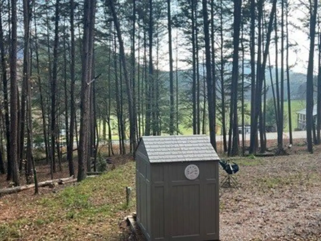 Picture 5