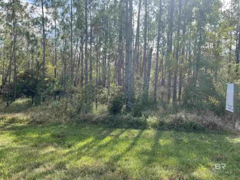 Foley Land with Highway Exposure