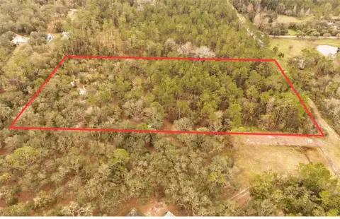 5.24 Acres of Wooded Land