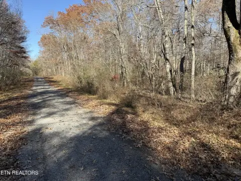 Crossville, TN Wooded Service Lot
