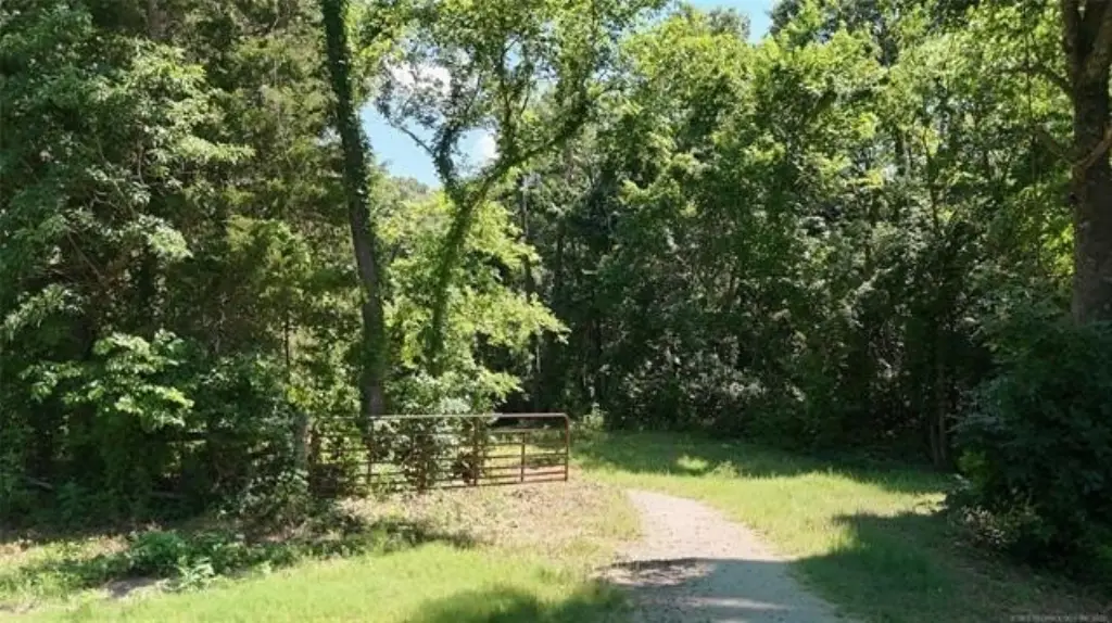 Picture 38