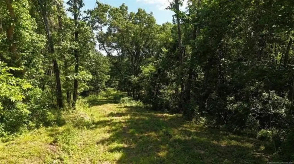Picture 34