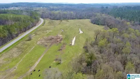 Columbiana Acreage with Creek