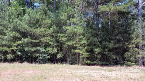 Wooded Lot in Gated Community