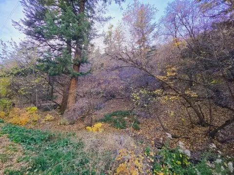 Mountain Land Near Pocatello, Idaho