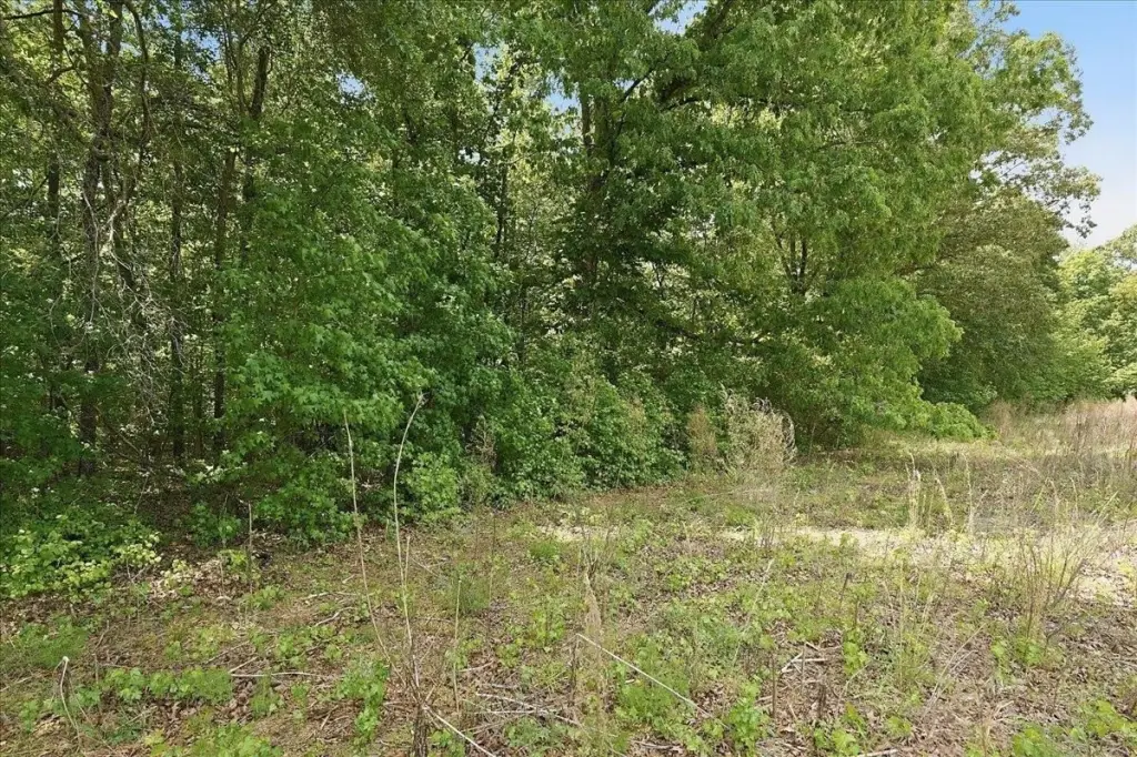 Picture 24