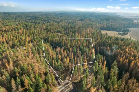 Kalispell Land with Mountain Views