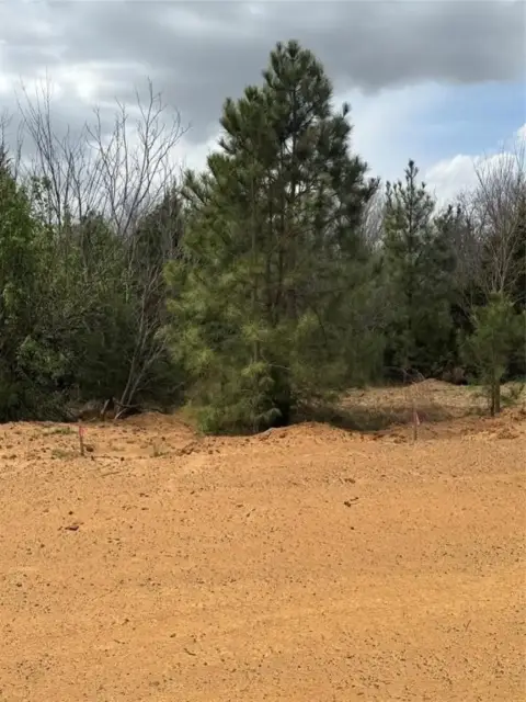 Land in Coyote Flats, TX