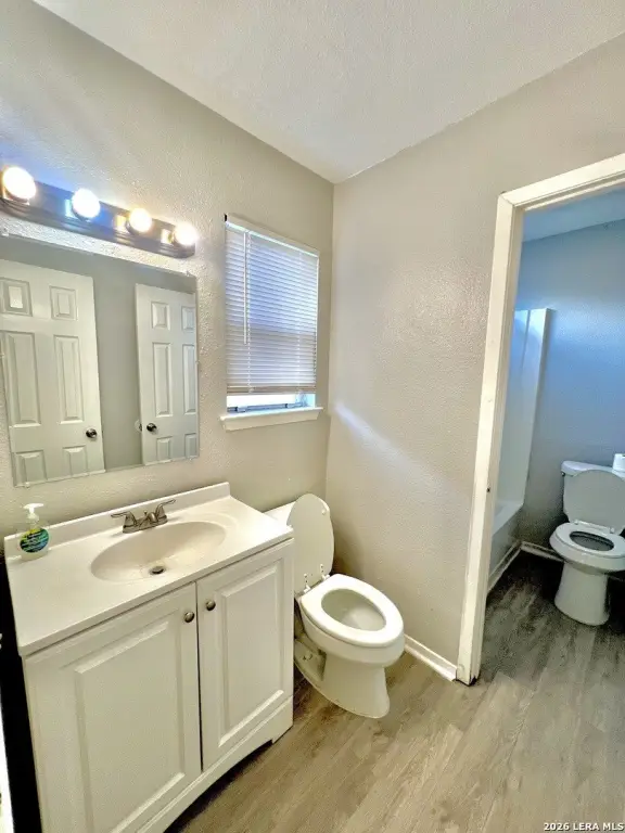 Picture 11