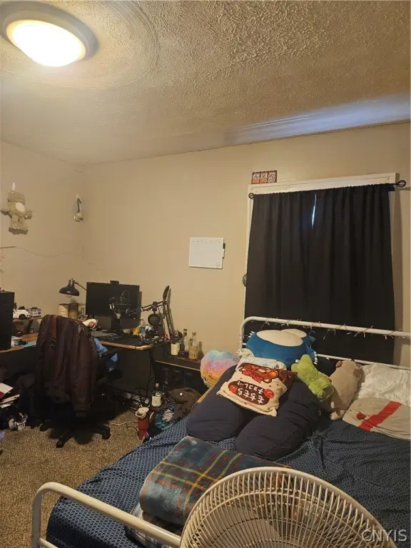 Picture 14