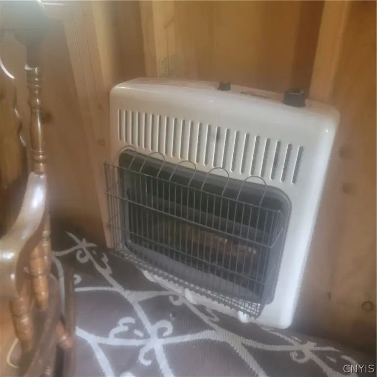 Picture 5