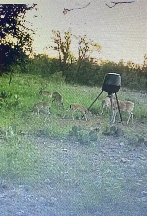 Brookesmith, TX Unimproved Land