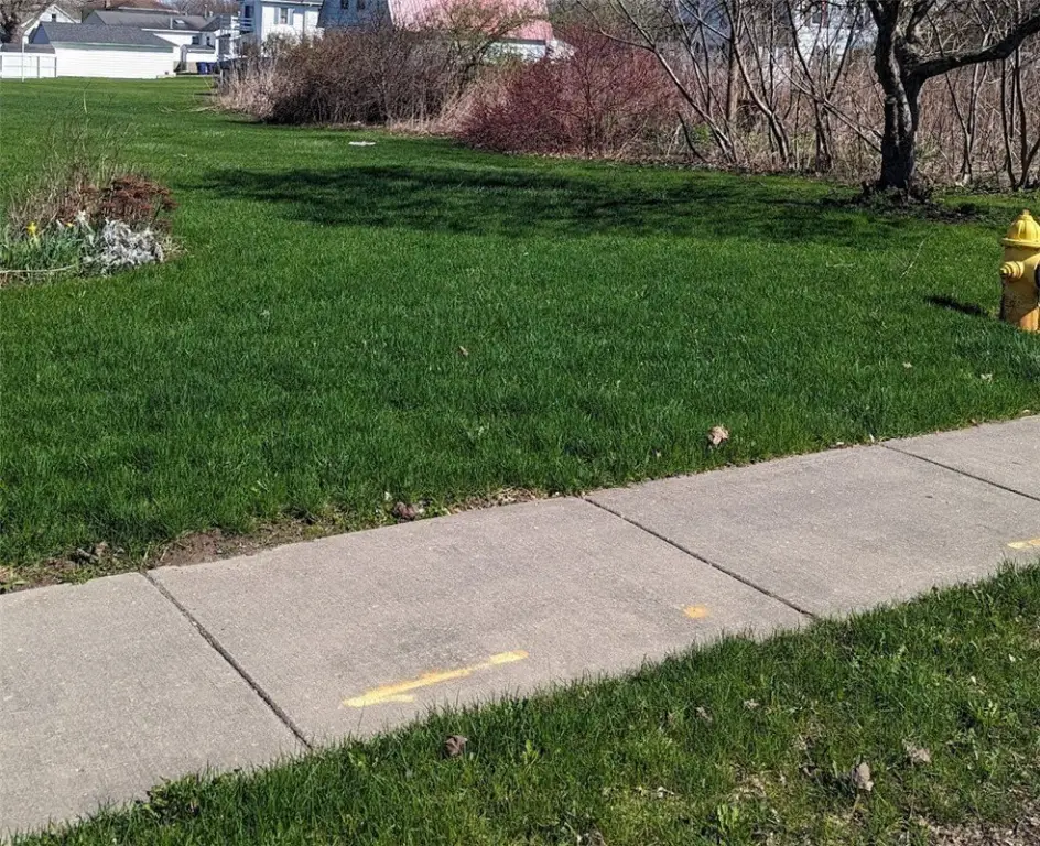 Picture 5