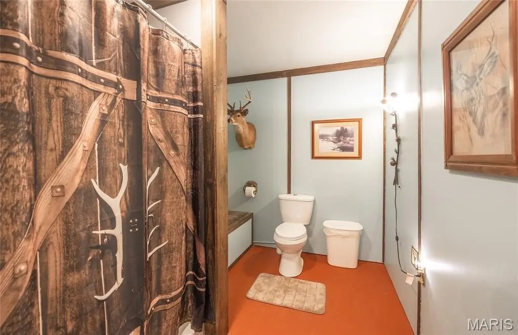 Picture 21