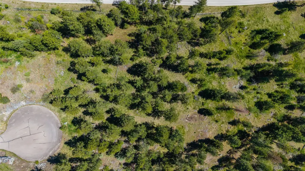 Picture 12