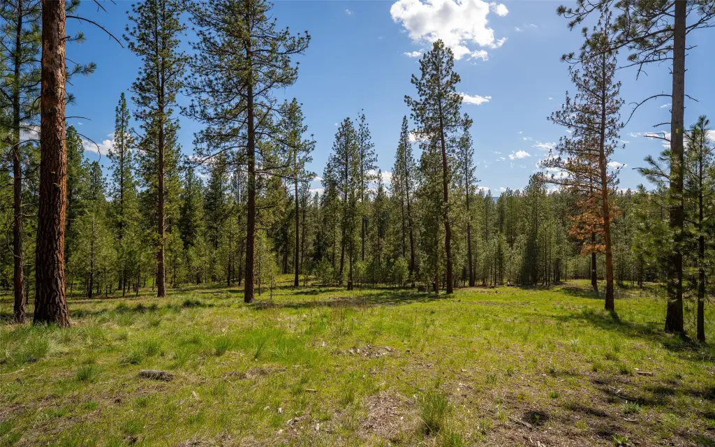 Picture 64