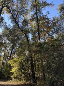 Crawfordville Land for Sale