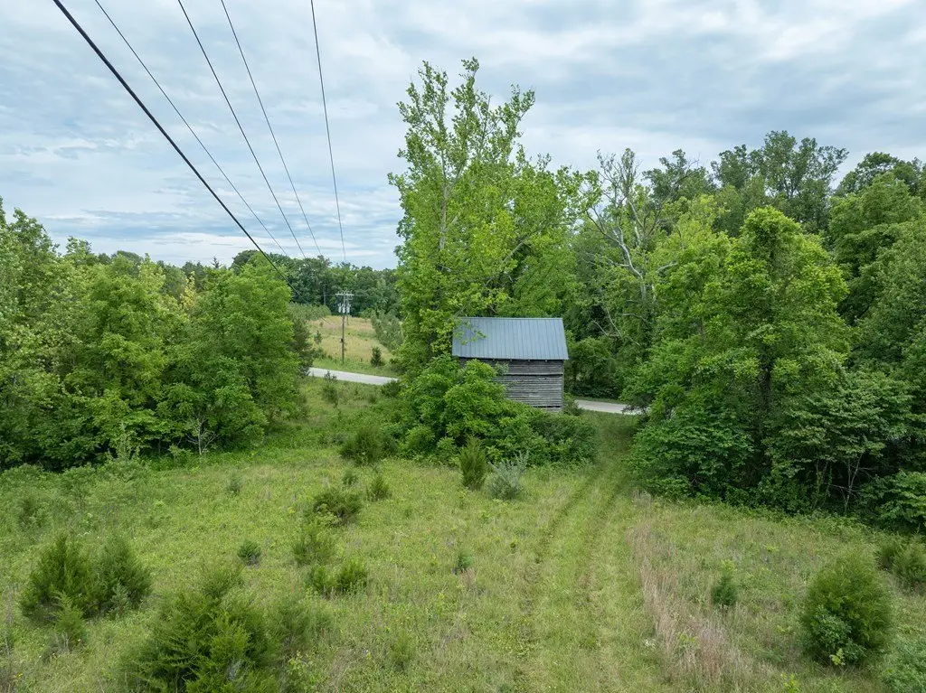 Picture 13