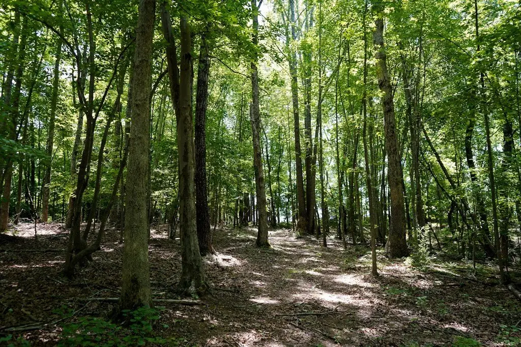 Picture 25