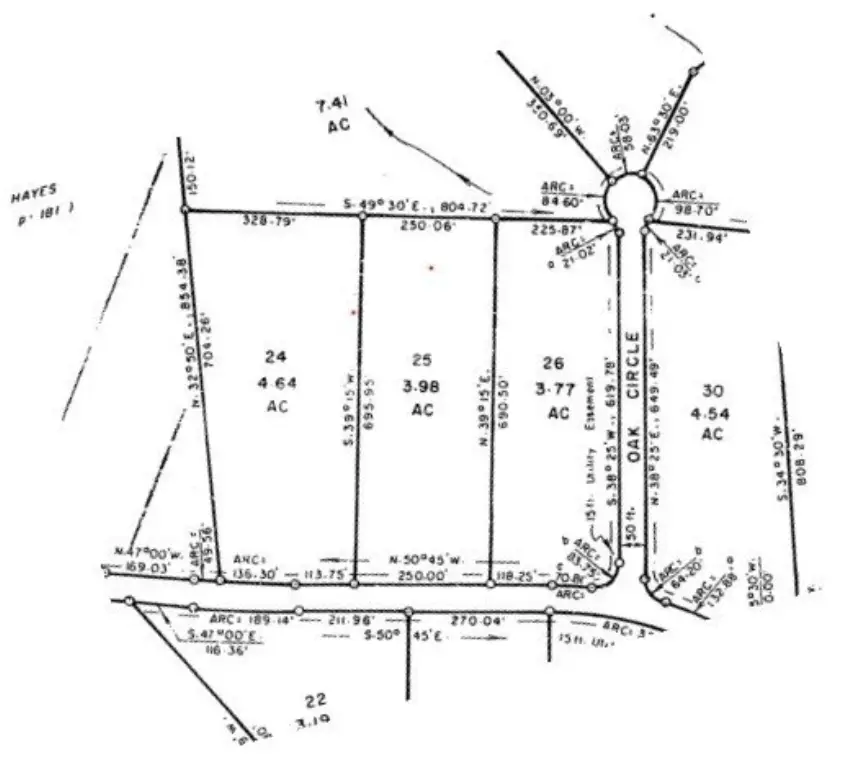 Picture 11