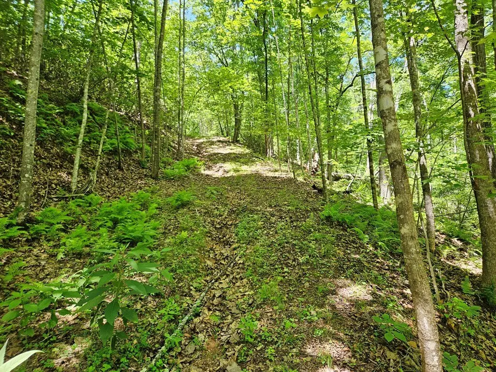Picture 18