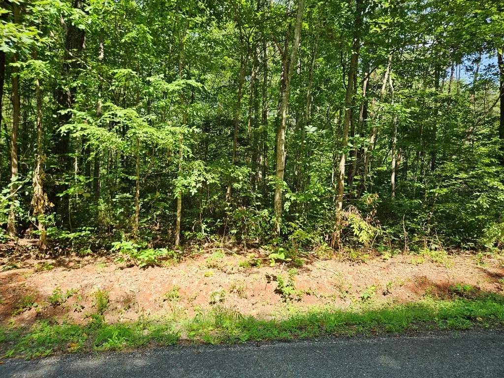 Picture 8